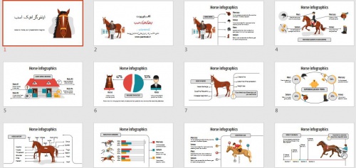 تم پاورپوینت حیوان اسب