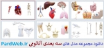 طرح سه بعدی آناتومی انسان