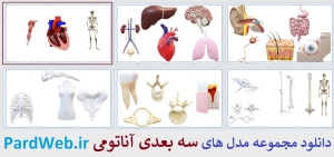 طرح سه بعدی آناتومی انسان