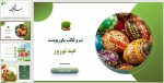 قالب و تم پاورپوینت عید نوروز باستانی